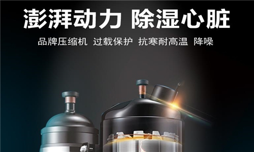 制藥廠濕度控制的解決方案:制藥行業(yè)專用除濕設備 制藥廠濕度控制的解決方案:制藥行業(yè)專用除濕設備